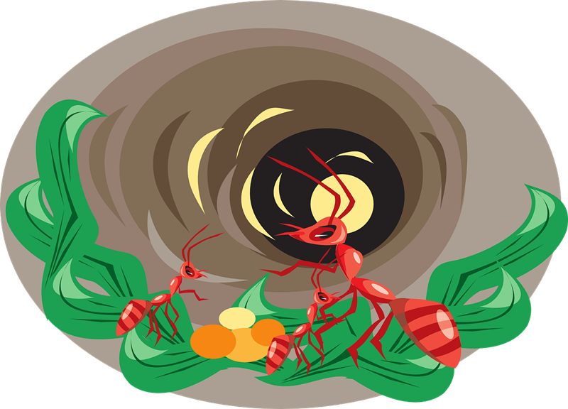 Hole clipart vector art free.  collection of ants