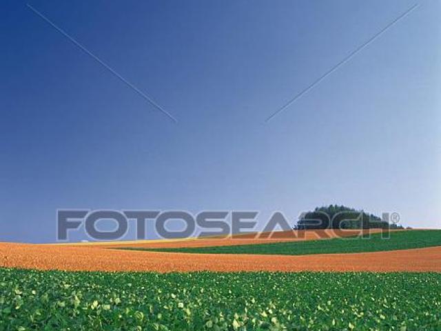 hill clipart flat land