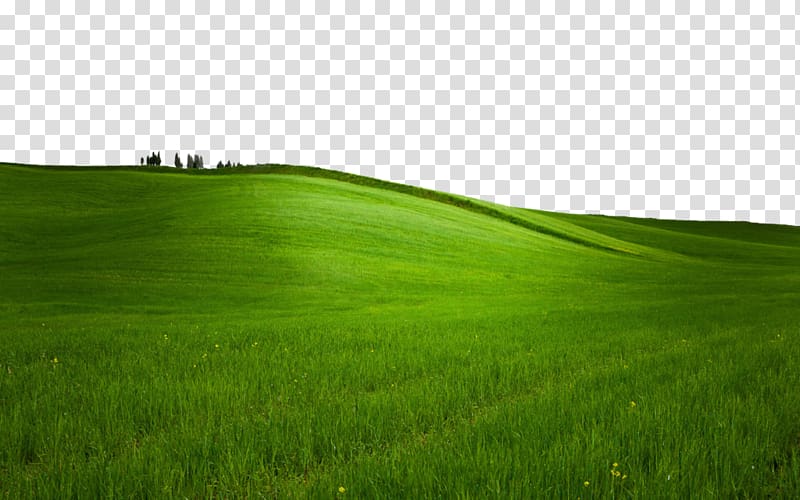 Computer icons desktop green. Hill clipart grass plain