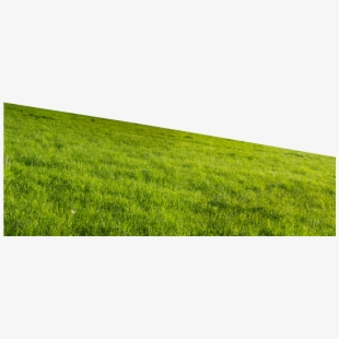 hill clipart grass plain