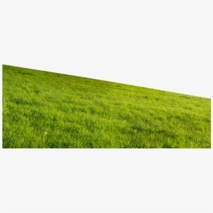 Hill clipart grass plain. Png green on free