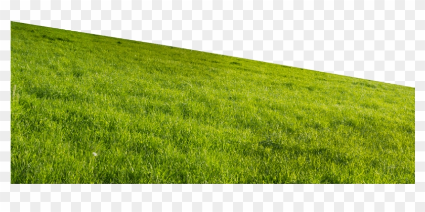 hills clipart grass mound