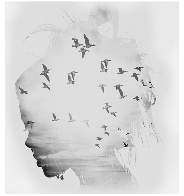 Web design district graphic. Hills clipart diagram