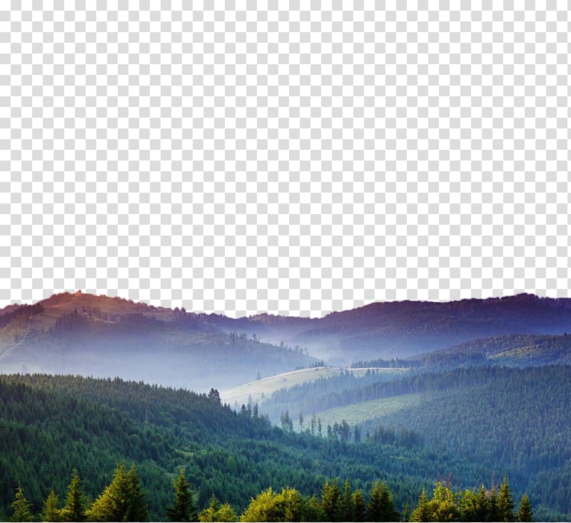Hills clipart natural scenery. Green leafed trees on