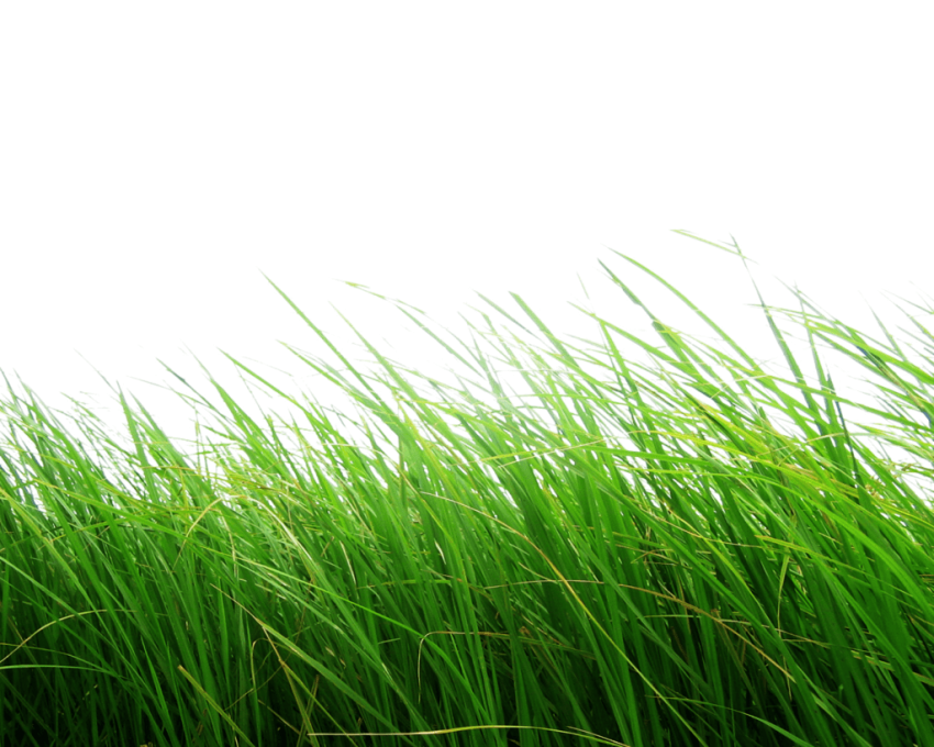 hills clipart patch grass