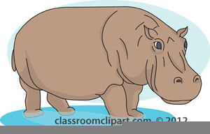 hippo clipart carton