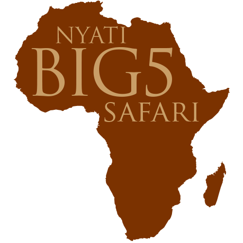 Nyati safari wildlife . Hippopotamus clipart big 5