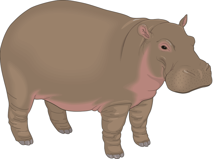 hippopotamus clipart mouth