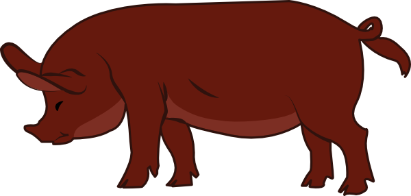 Duroc clip art at. Hog clipart brown pig