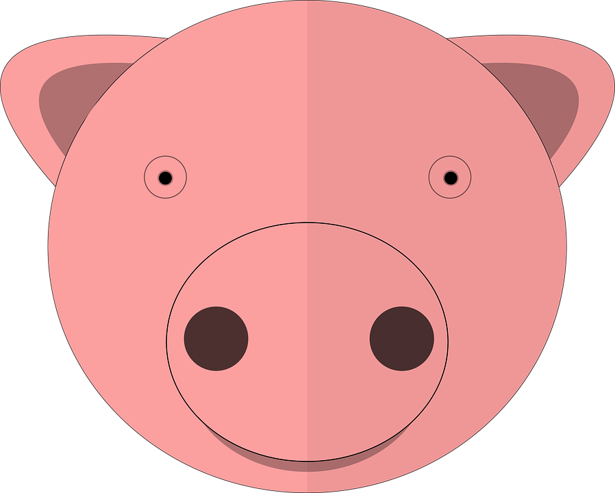 hog clipart cartoon