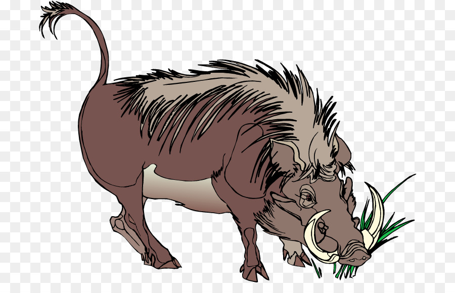 Pig cartoon illustration wildlife. Hog clipart common animal