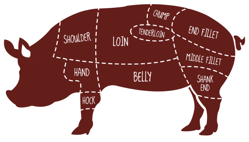 hog clipart cow