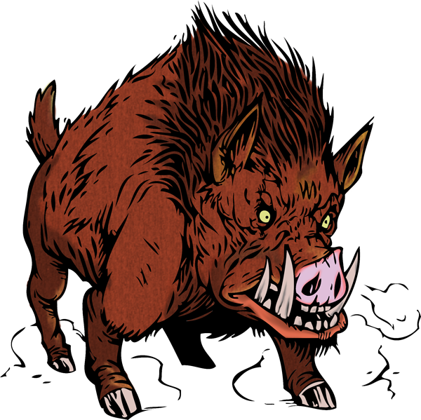 hog clipart feral pig