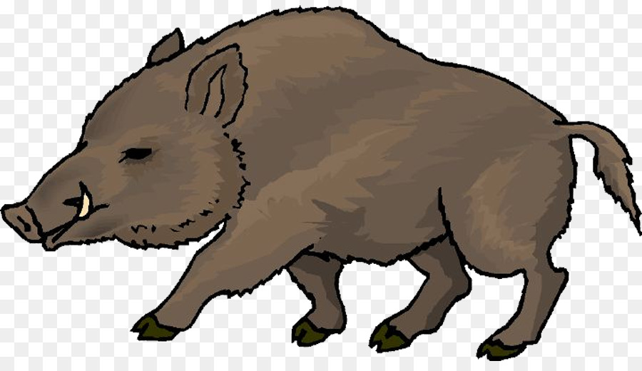 hog clipart feral pig