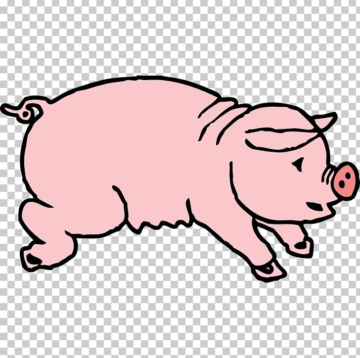 hog clipart fetal pig