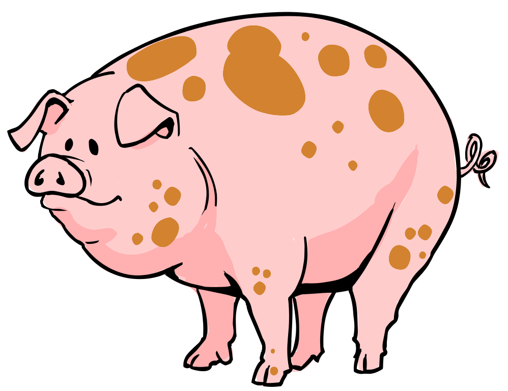 hog clipart group pig