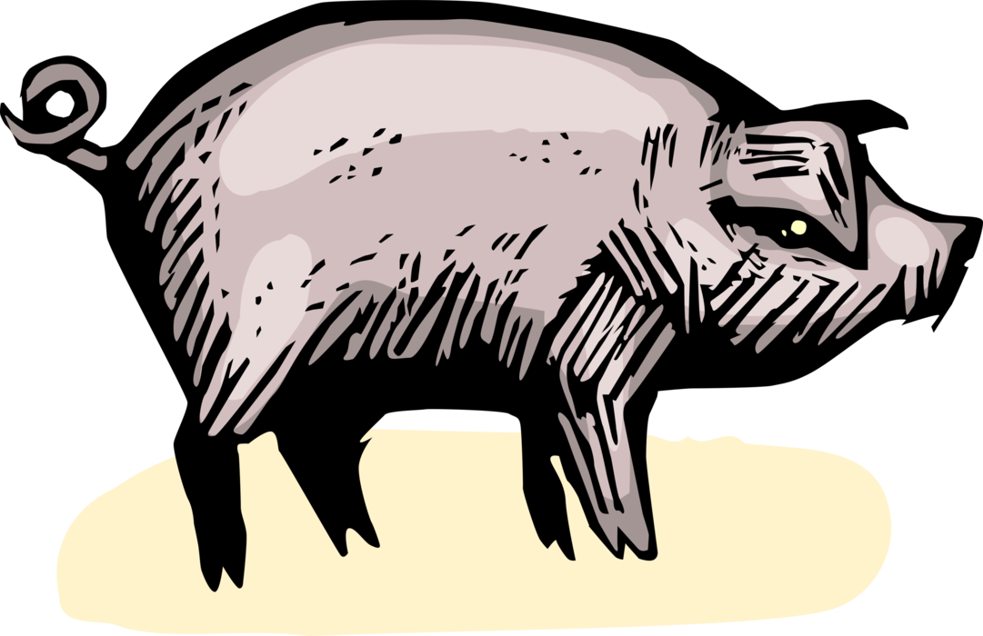 hog clipart group pig