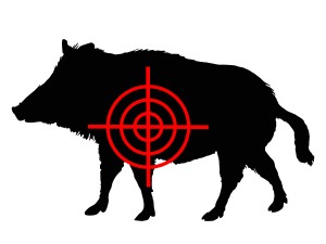 hog clipart hog hunting