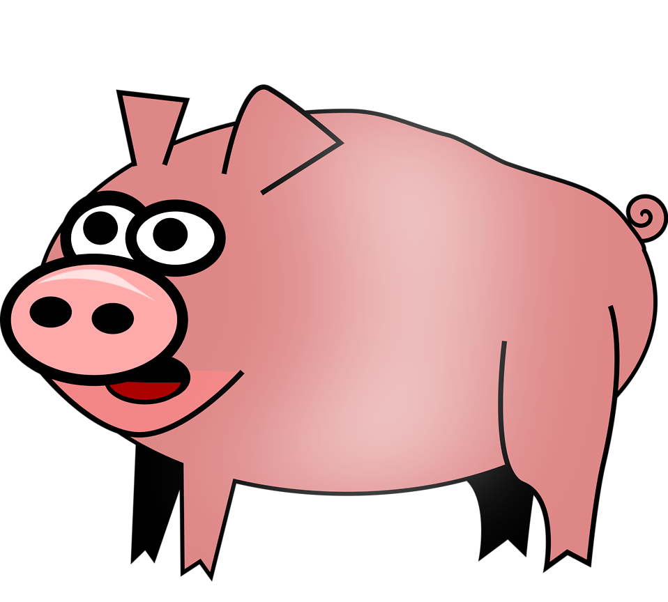 pigs clipart clear background