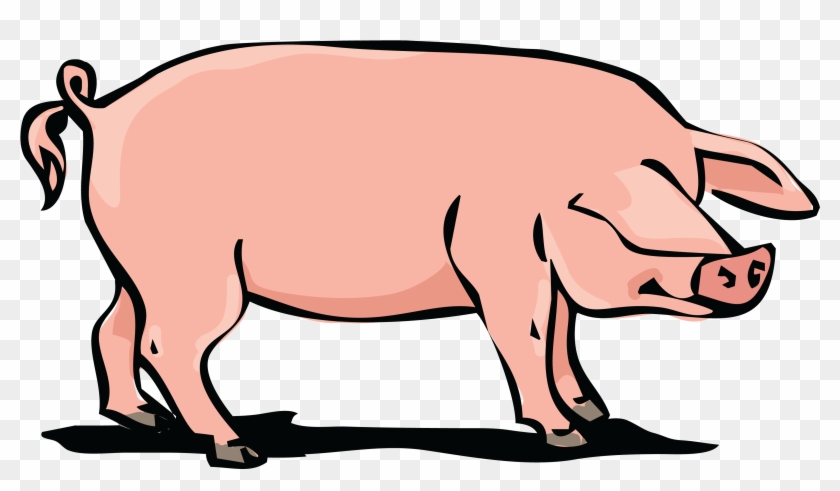 hog clipart pig foot