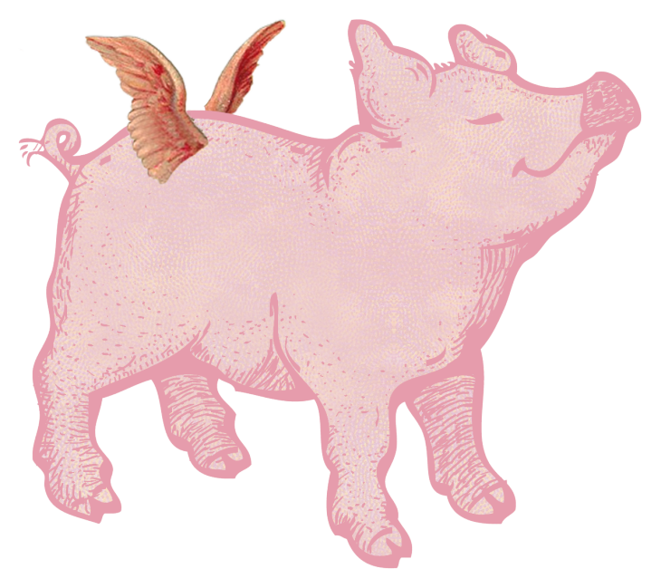 hog clipart pink thing