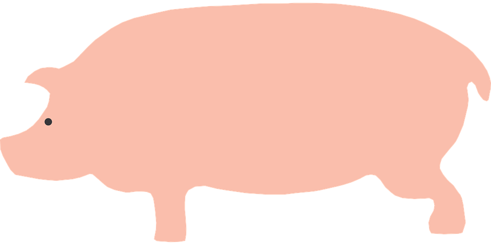 hog clipart side view