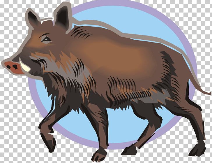 hog clipart warthog