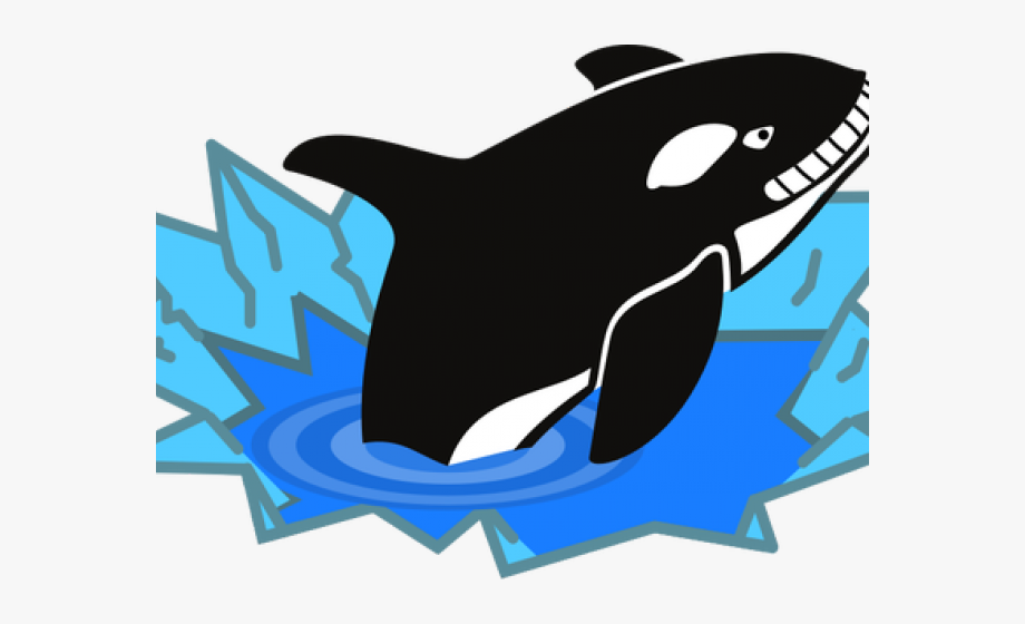 orca clipart big whale