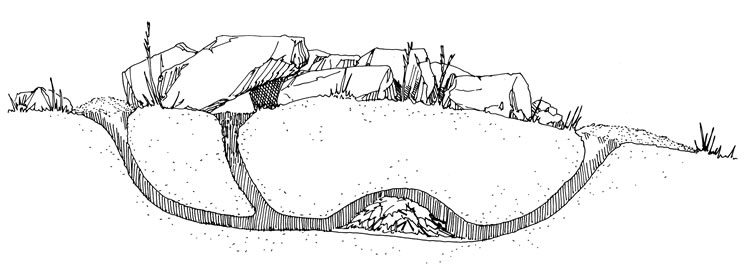 hole clipart underground burrow