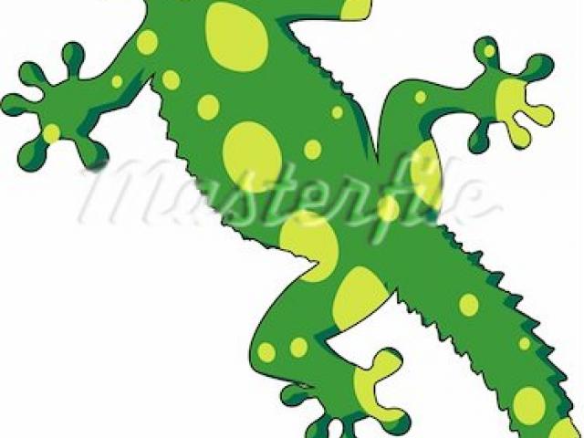 Lizard clipart hole book. Free download clip art