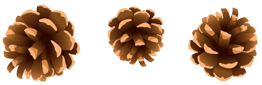 Free cliparts download clip. Pinecone clipart animated