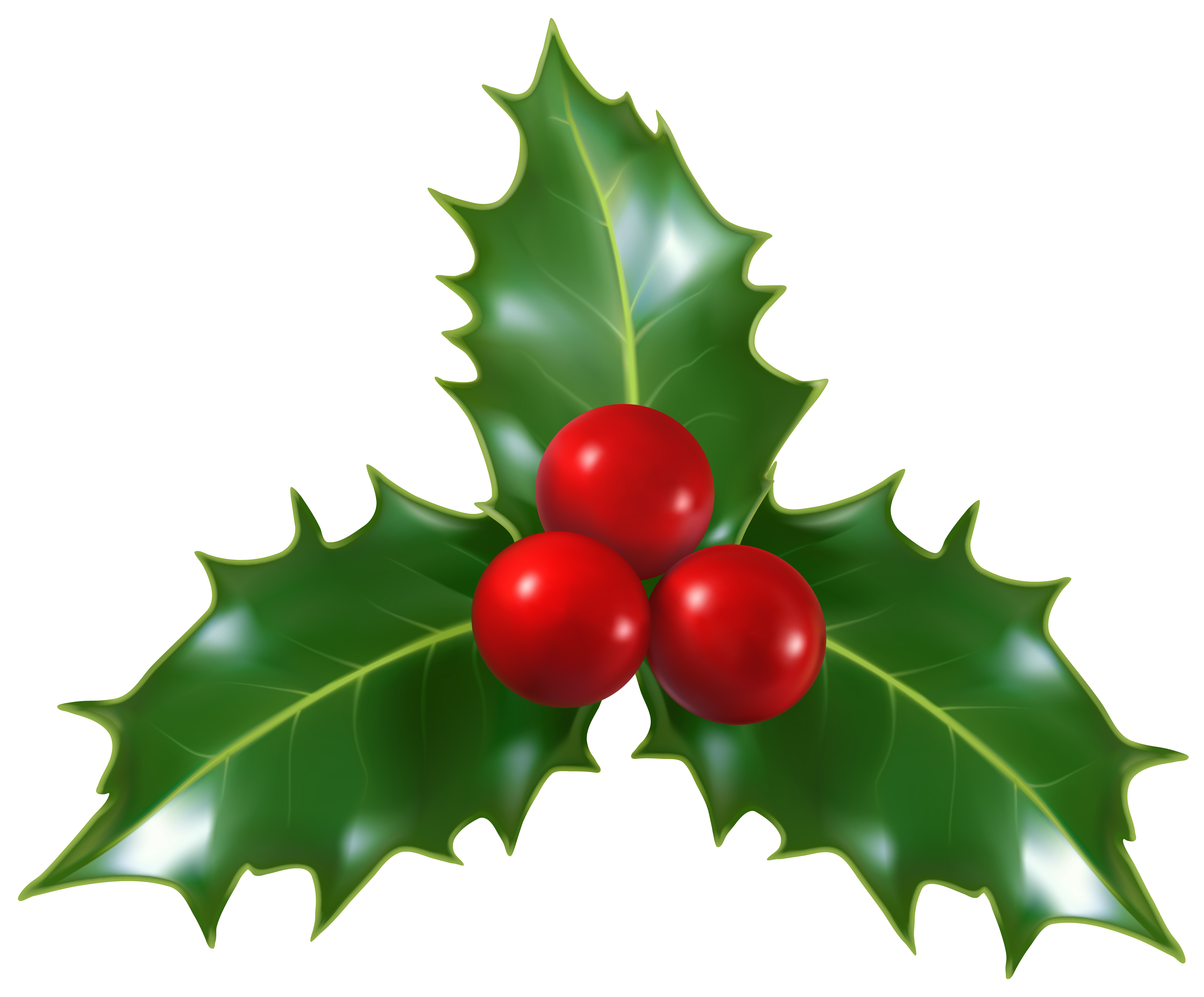 Christmas mistletoe clip art. Holly border png
