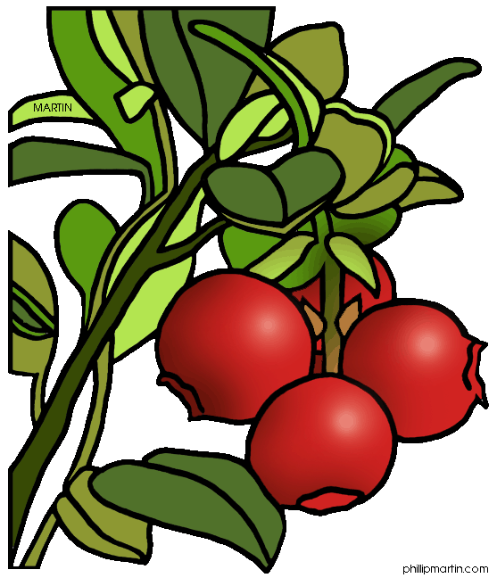 Holly clipart cranberry. Berry panda free images