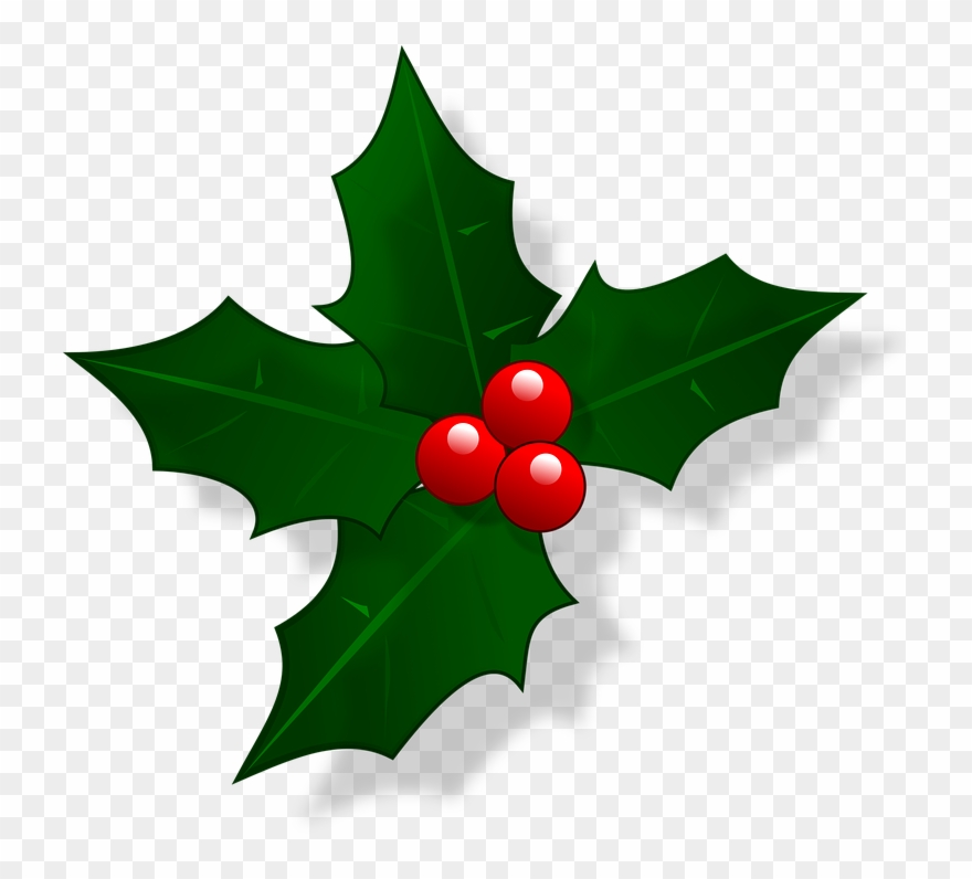 Holly clipart festive, Holly festive Transparent FREE for