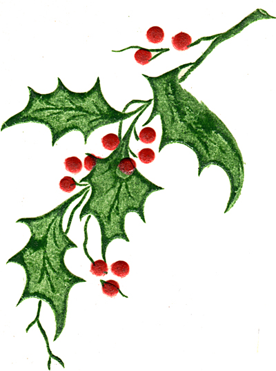 Holly clipart foliage. Free images of leaves
