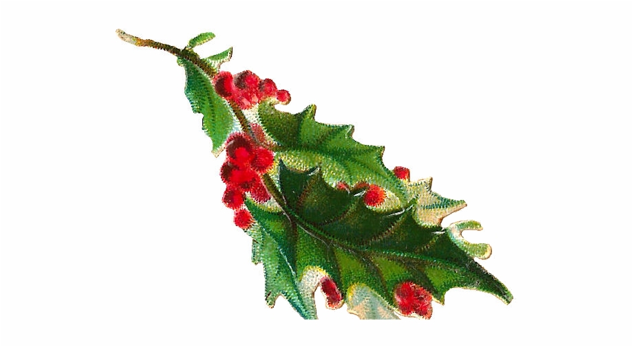 Holly clipart holly branch. Free christmas clip art