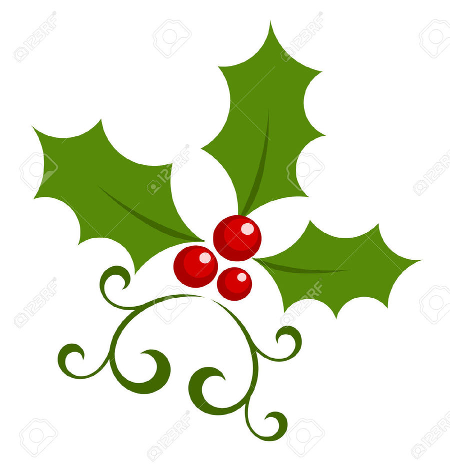 Illustration drawing leaf plant. Holly clipart holly flower