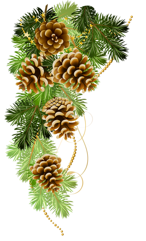 winter clipart pinecone