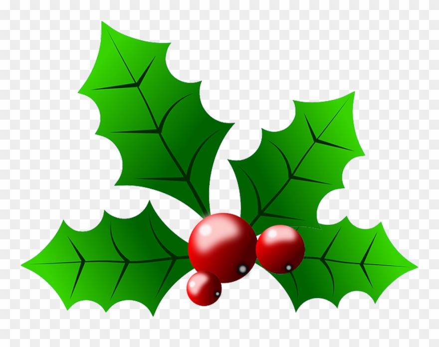 Berries con transparrent berry. Holly clipart leaves holly