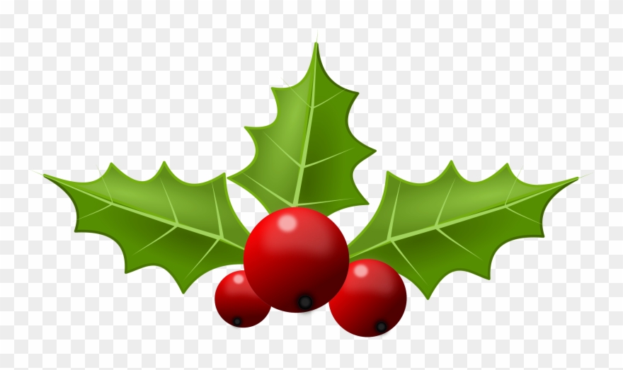 Holly clipart leaves holly. Free public domain christmas