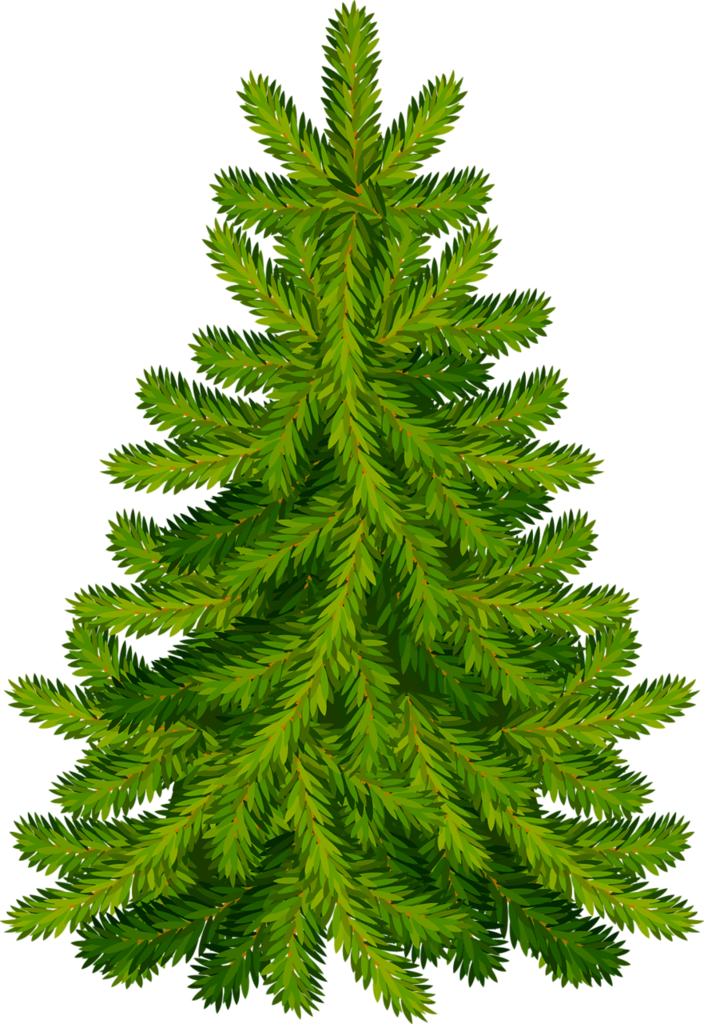 Elements png christmas clip. Woodland clipart tree oregon