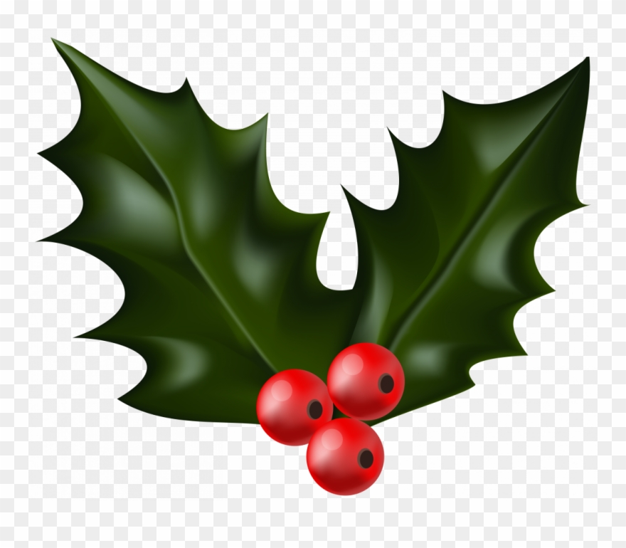 holly clipart printable