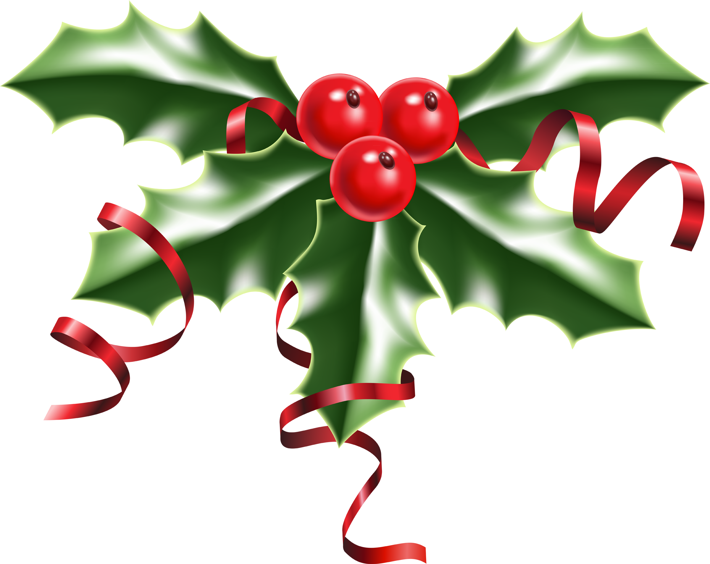 holly clipart red holly