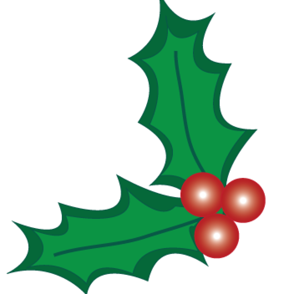 Christmas and clip art. Holly clipart vector
