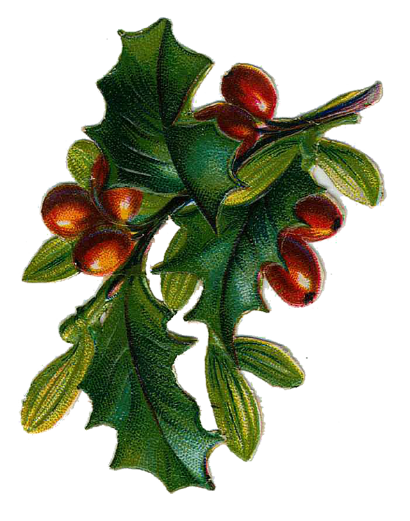 Christmas free download best. Holly clipart vintage