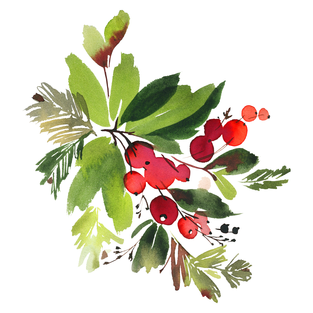 Flowers png peoplepng com. Snowman clipart watercolor