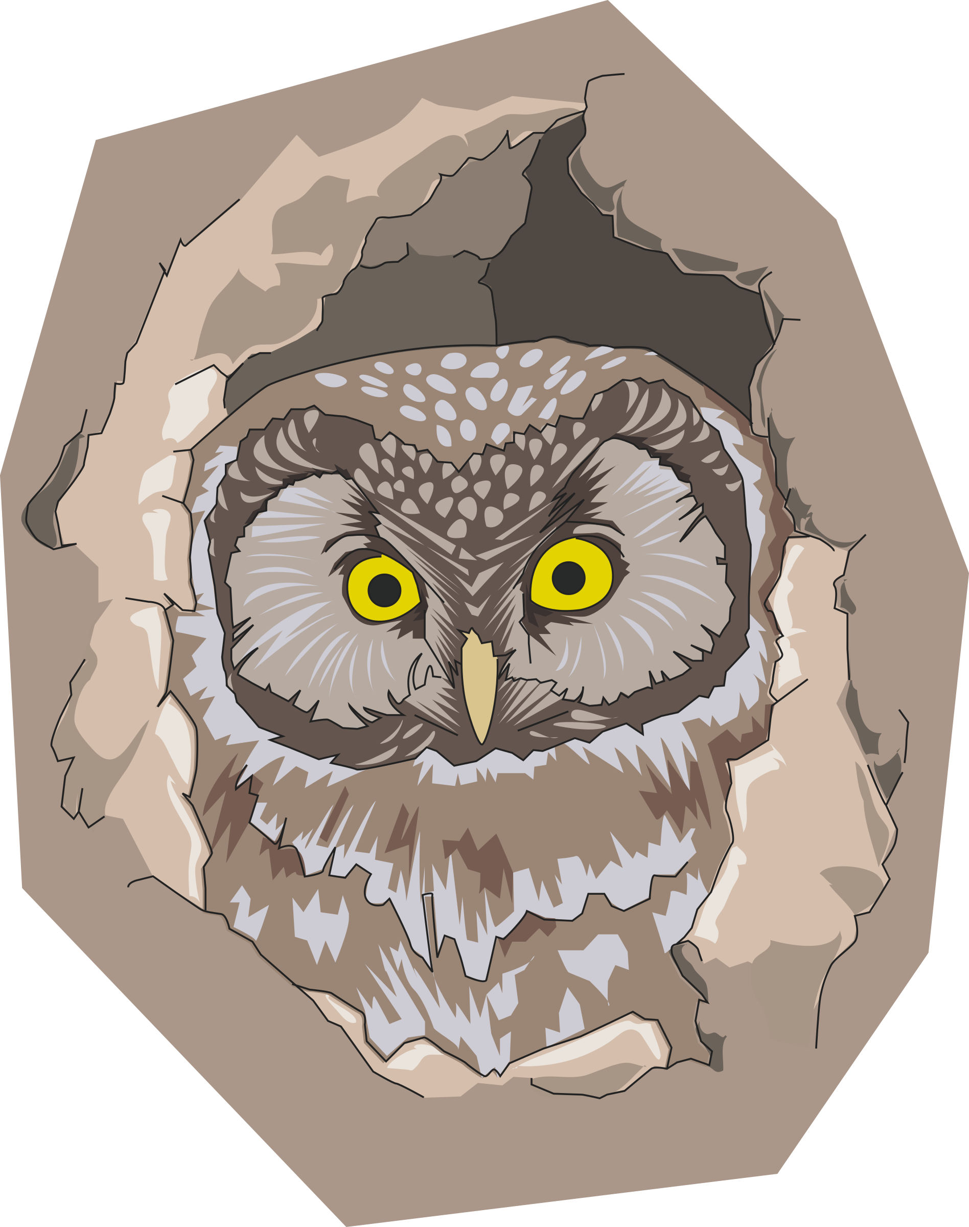 home clipart owl