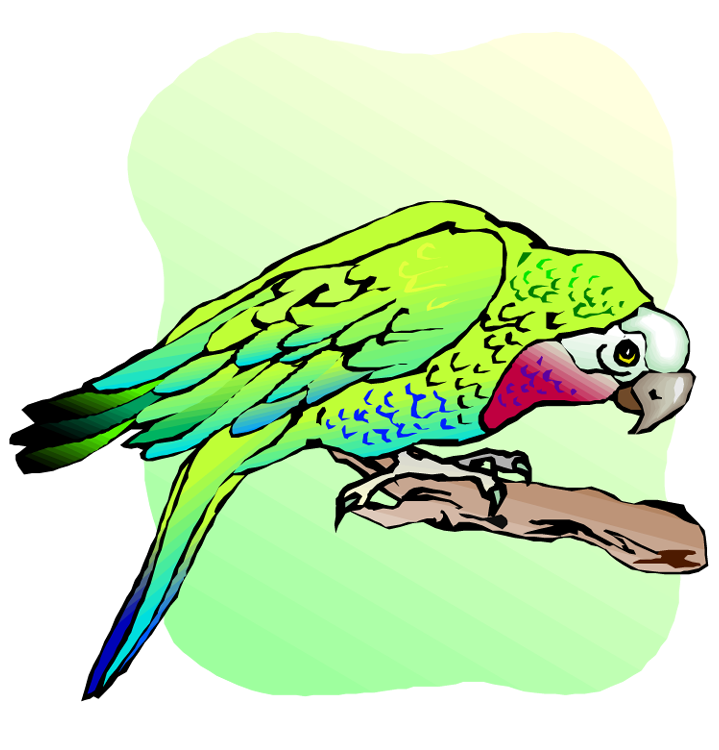 Free and macaw . Home clipart parrot