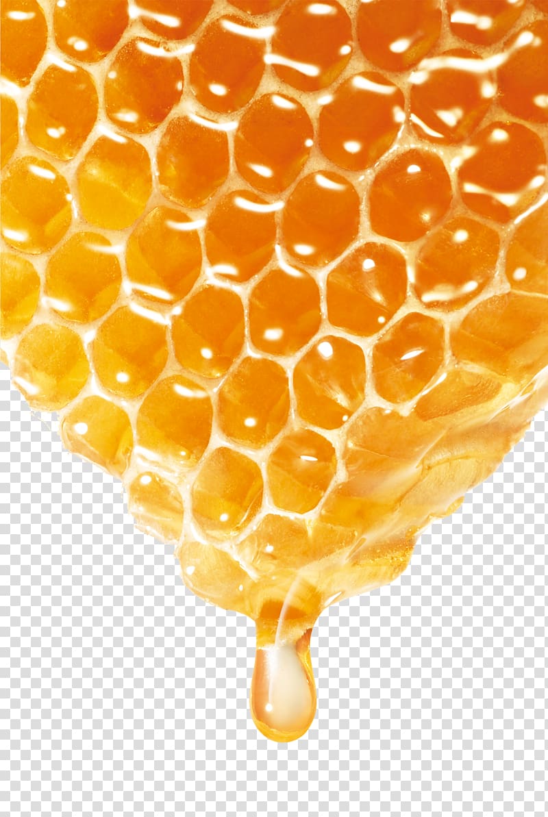 Honey clipart background, Honey background Transparent FREE for