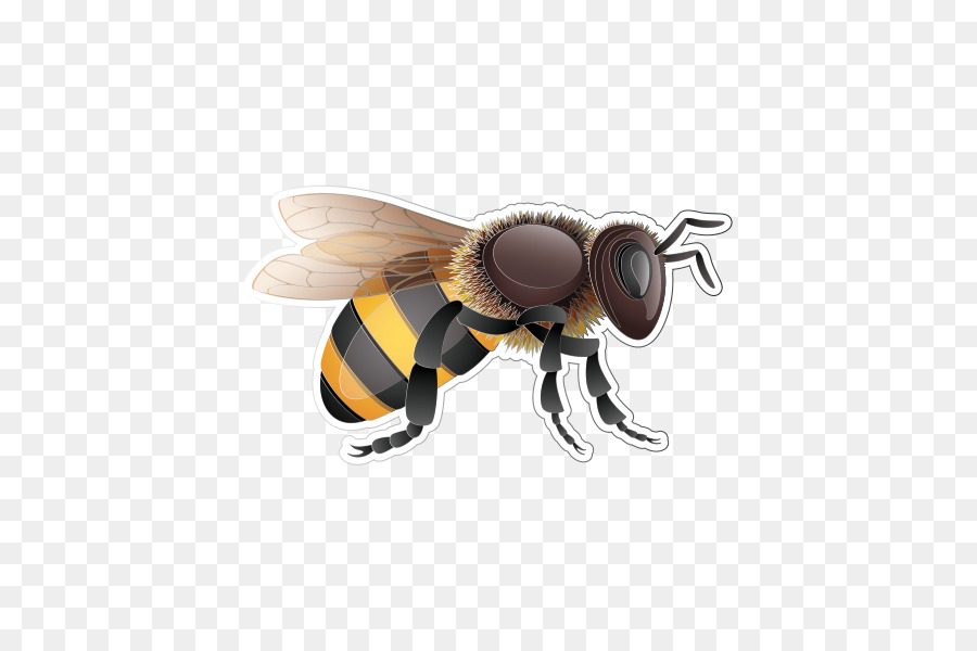 honey clipart bee wing